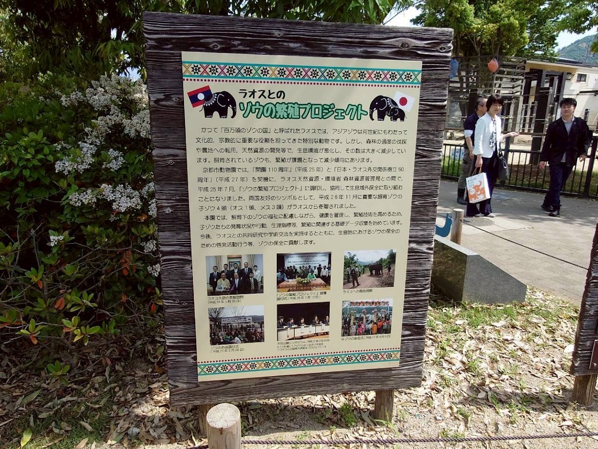 10.JPG
