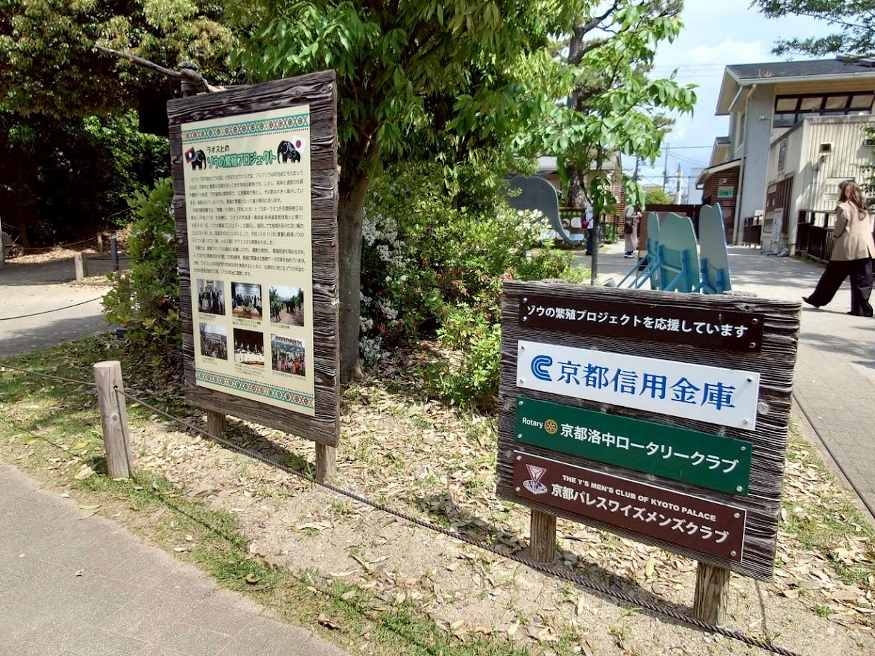 9.JPG